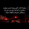 shoshoalaa17985