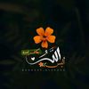 user5hzf0ms201
