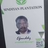 efanddy.mat.junoh