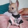 kathyruiz65
