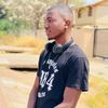 davincearts