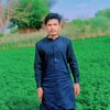 qamarhaseeb653