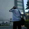 tylil_louie