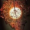 mari.fally