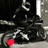 fer.grayrat22