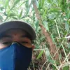 rivay1232