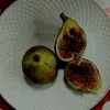 ttuttifruityy