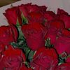 well_nobodys_perfect7