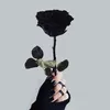 blackheart_h21