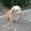 luserito90