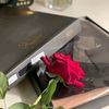 dody_dody__1