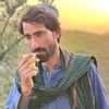 alamjaan.75