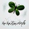 userffjvh7eu8q
