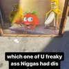 tdfw.s