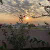 amgad_570