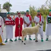 hamzabelayachi1