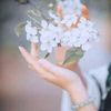 sitare_eroglu4084