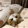 maryam1313131