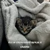 sleepytorr