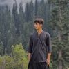 syedhassanshah804