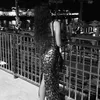 __vanessaa5