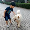 saadlihasna