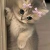 aishsyyy_.18