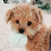 emi_zxcghj