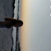 leonoraa_prinss