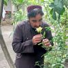 javid.janisar