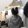 chagn_nguyen_