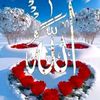 shahin1486
