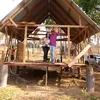 luizsandoval63