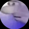 robertrhodez
