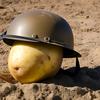 rangrer_potato15