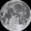 noturgirl_392