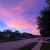jaxon_htx