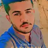 alipursehoyar