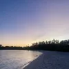 amberarndellx