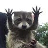 noahg7h