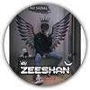 muhammadzeeshanmu12