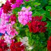 jabyby_22