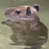 gatioplas