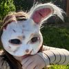 hare.theofficial