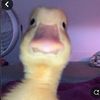 user65439009866