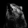 ghost_4000