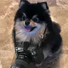 douaaoumha