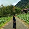 an_dhyy1