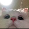 user1815490708721