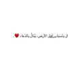 salm_a005